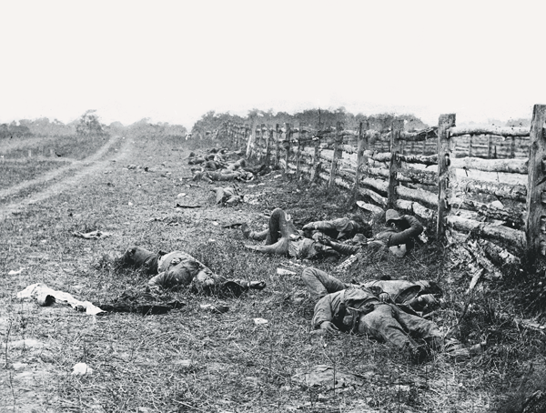 1. Confederate dead on the Miller Farm, possibly from Starke’s Louisiana Brigade, with the North Woods in the distance and the Hagerstown Pike to the right